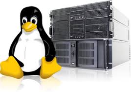 Linux shared host
